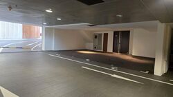 RESIDENCES AT EMERALD HILL (D9), Apartment #583433891